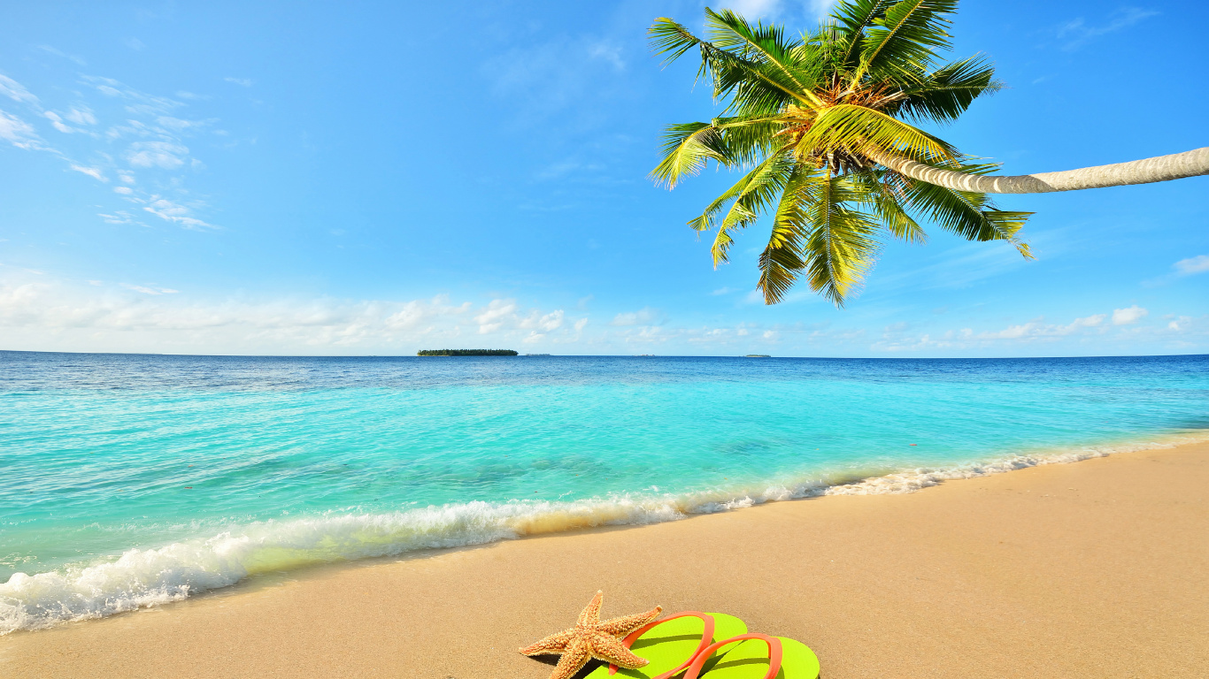 Green and Yellow Flip Flops on Beach Shore During Daytime. Wallpaper in 1366x768 Resolution