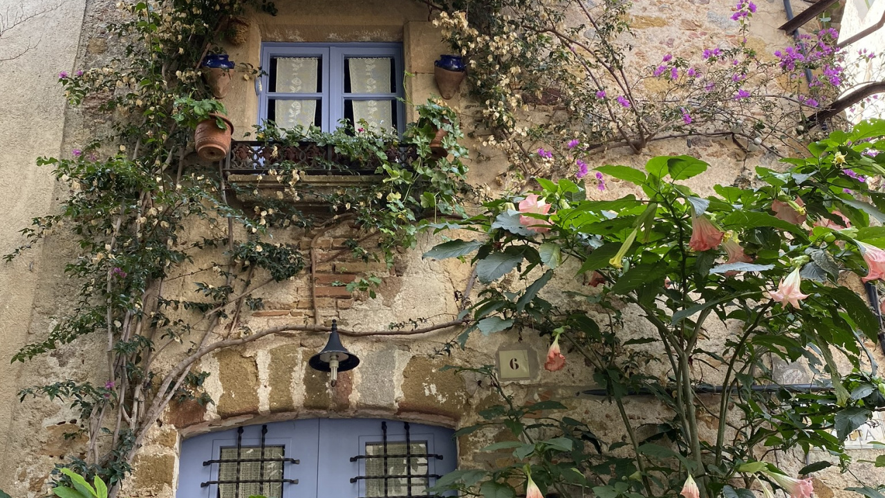 Flower, Real Estate, Architecture, Purple, Wall. Wallpaper in 1280x720 Resolution