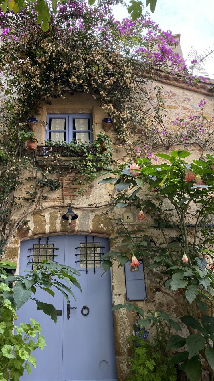 Flower, Real Estate, Architecture, Purple, Wall. Wallpaper in 750x1334 Resolution