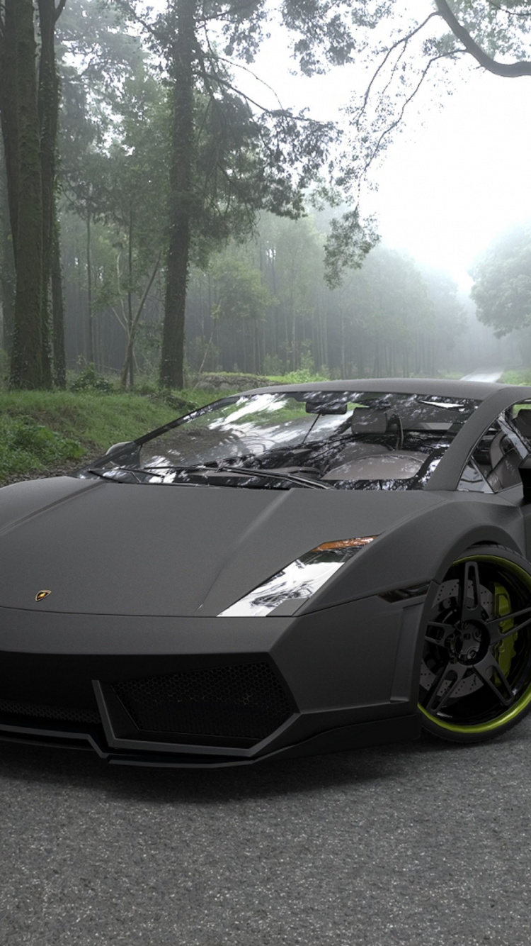 Black Lamborghini Aventador Parked on Gray Asphalt Road During Daytime. Wallpaper in 750x1334 Resolution