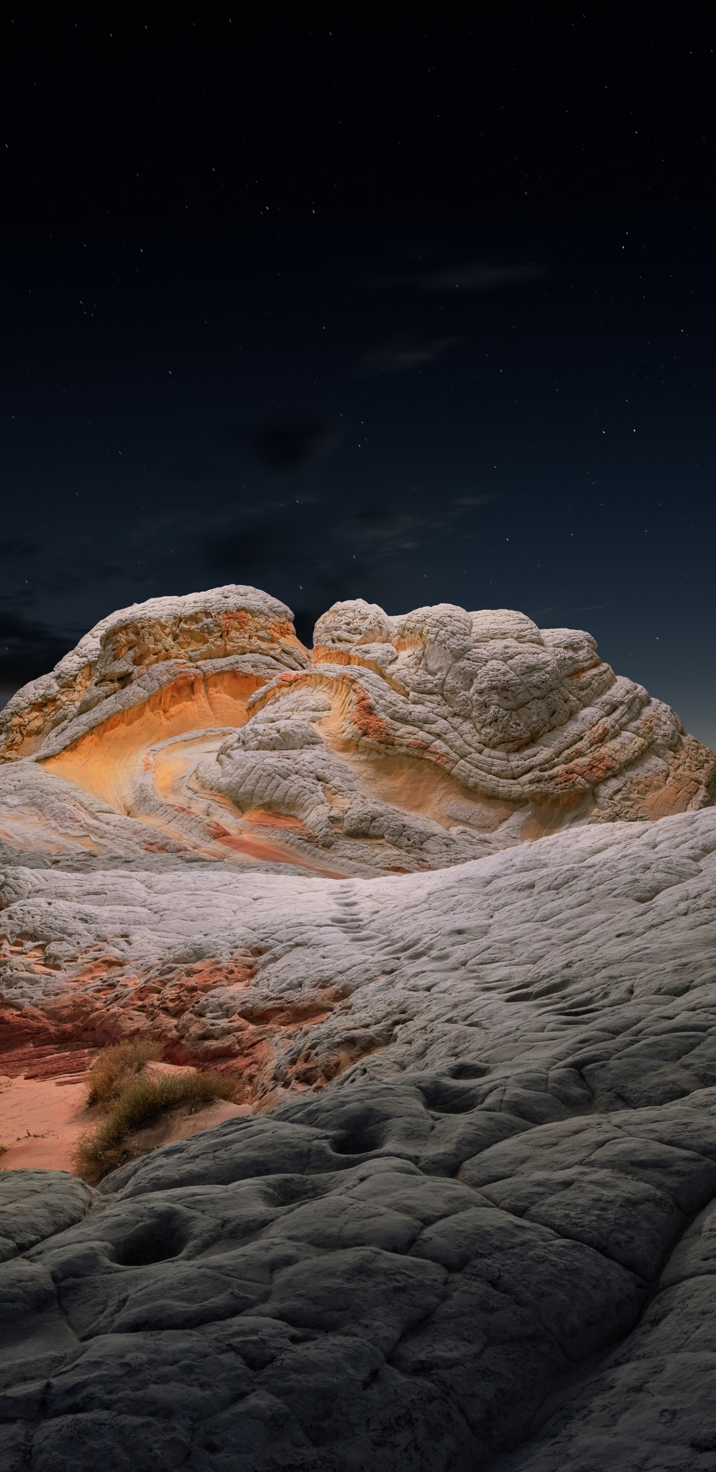 IPad, Ipad Pro, IPad Air, IOS 14, IOS 14.2. Wallpaper in 1440x2960 Resolution