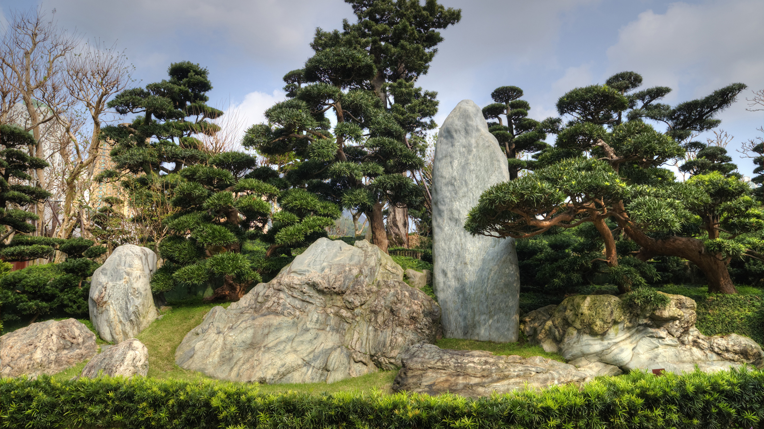 花园, 植被, 植物园, Nan Lian Garden, 盆栽 壁纸 2560x1440 允许
