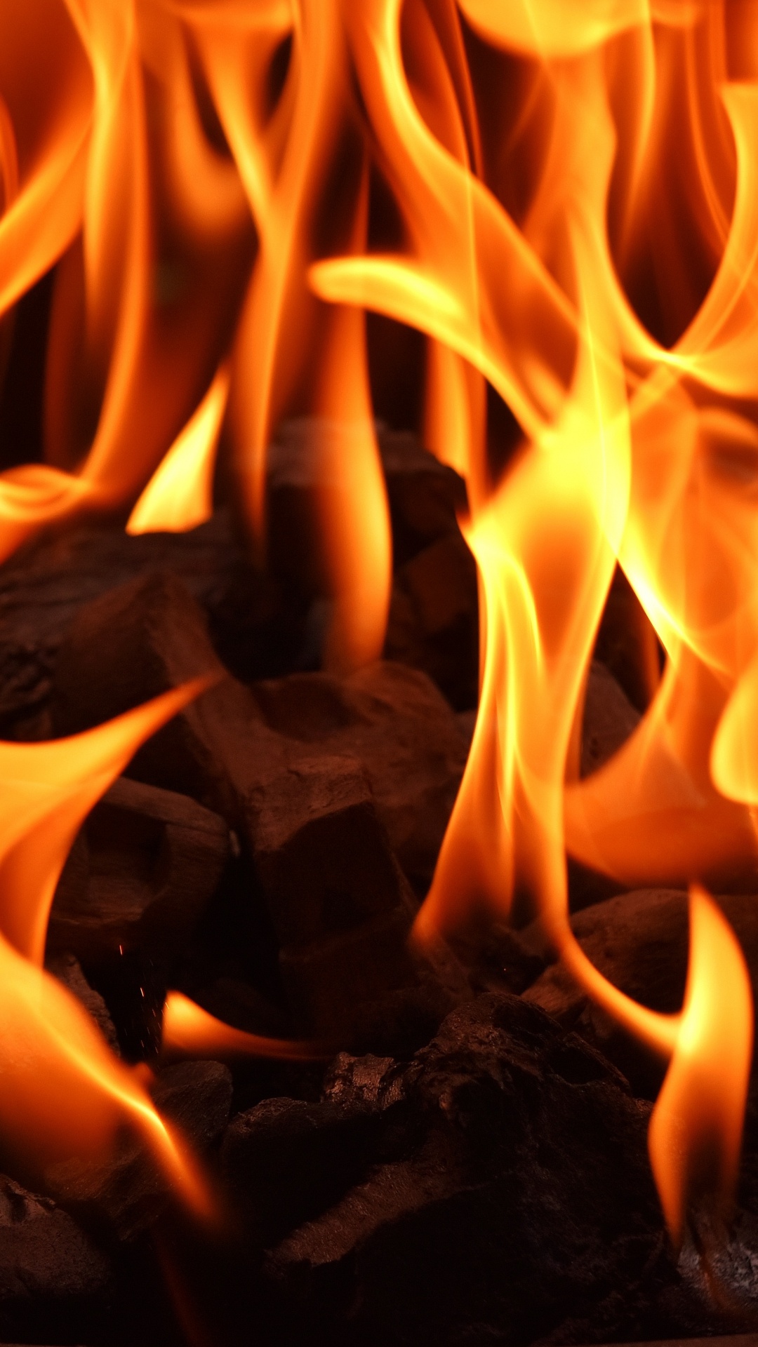 Feuer Mitten im Wald. Wallpaper in 1080x1920 Resolution