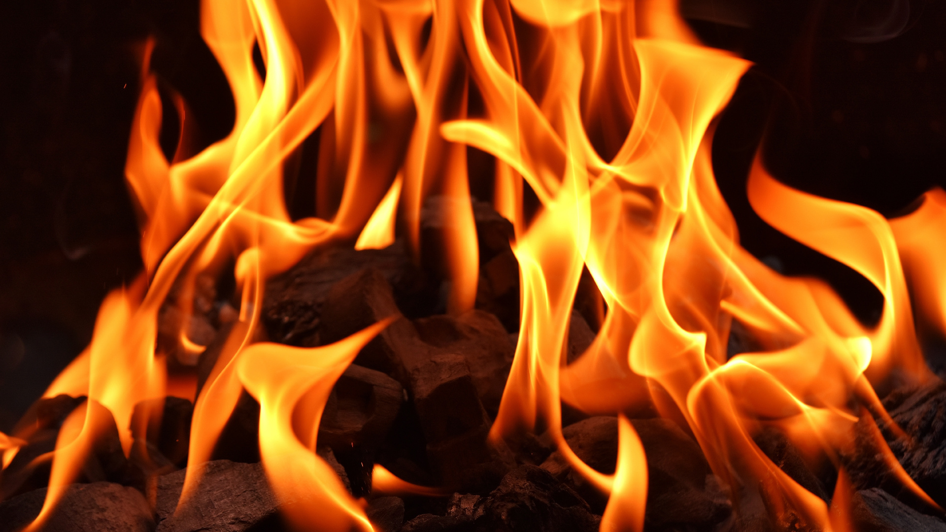 Feuer Mitten im Wald. Wallpaper in 1920x1080 Resolution