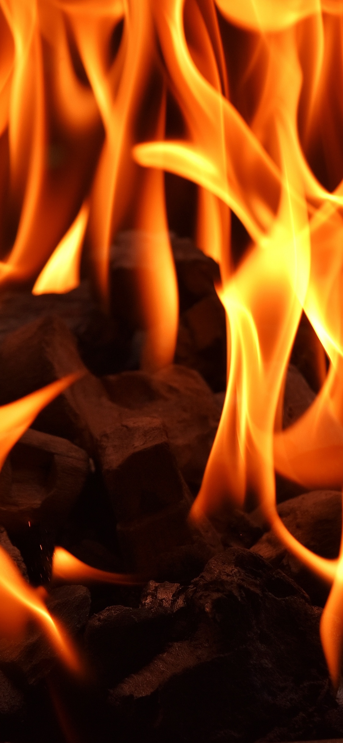 Fuego en Medio Del Bosque. Wallpaper in 1125x2436 Resolution