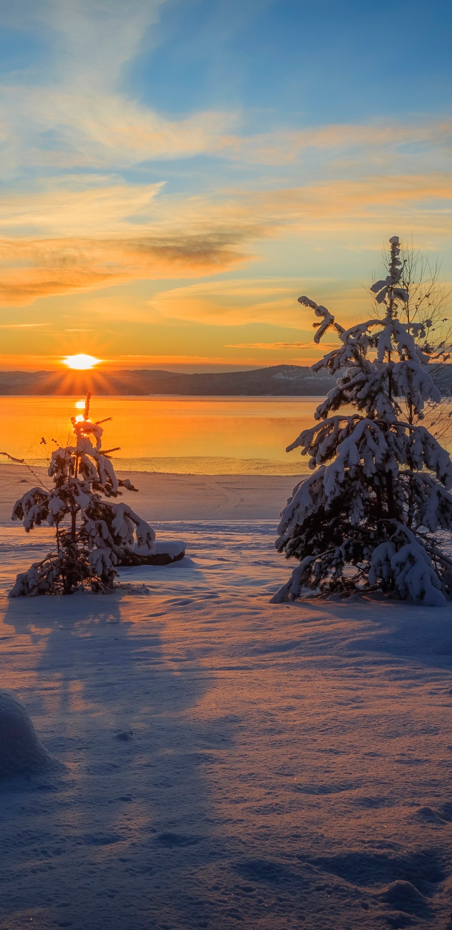 Arbre nu Sur Sol Couvert de Neige Pendant le Coucher du Soleil. Wallpaper in 1440x2960 Resolution