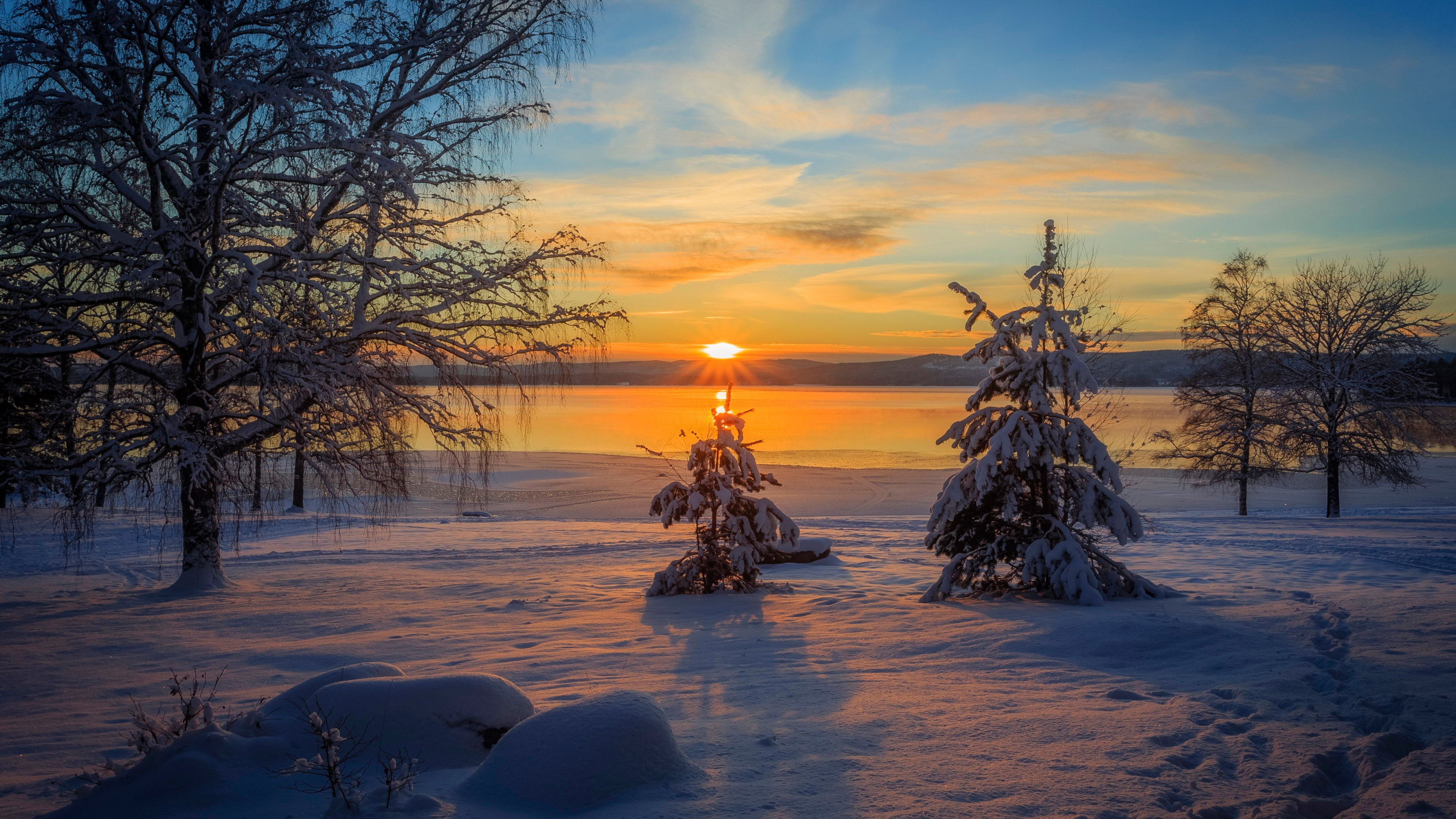 Arbre nu Sur Sol Couvert de Neige Pendant le Coucher du Soleil. Wallpaper in 3840x2160 Resolution