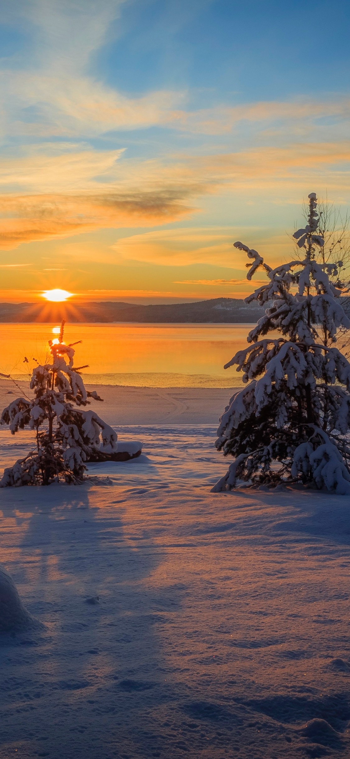 Bare Tree on Snow Covered Ground During Sunset. Wallpaper in 1125x2436 Resolution