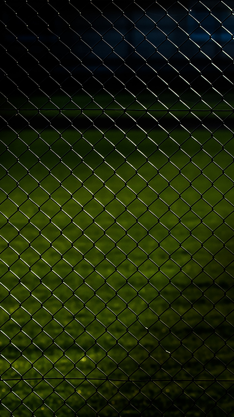 Schwarzer Metallzaun Mit Grüner Wiese. Wallpaper in 750x1334 Resolution