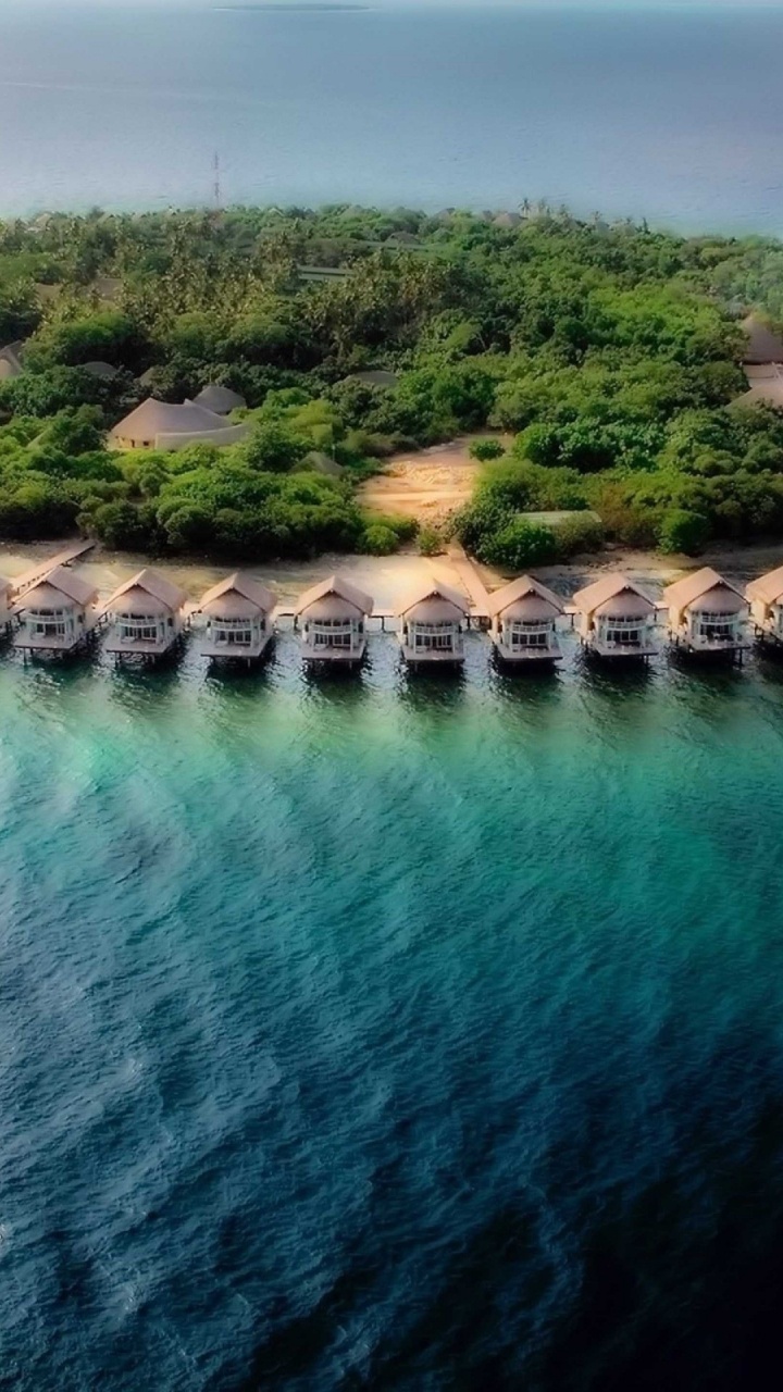 Aerial View of Green Trees and Body of Water During Daytime. Wallpaper in 720x1280 Resolution