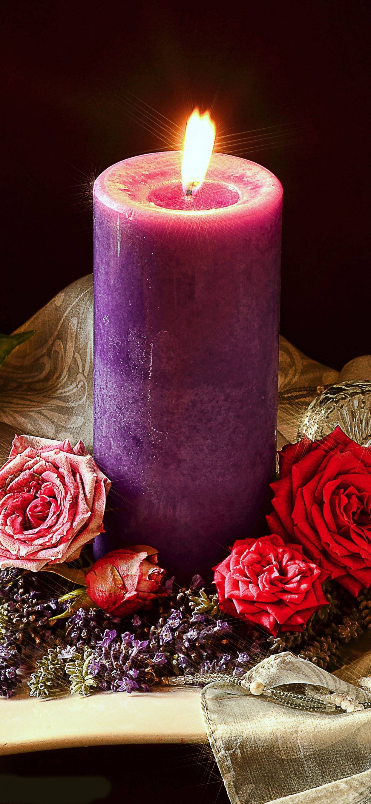 Todavía la Vida, Morado, Cera, Centro de Mesa, Las Rosas de Jardín. Wallpaper in 1242x2688 Resolution