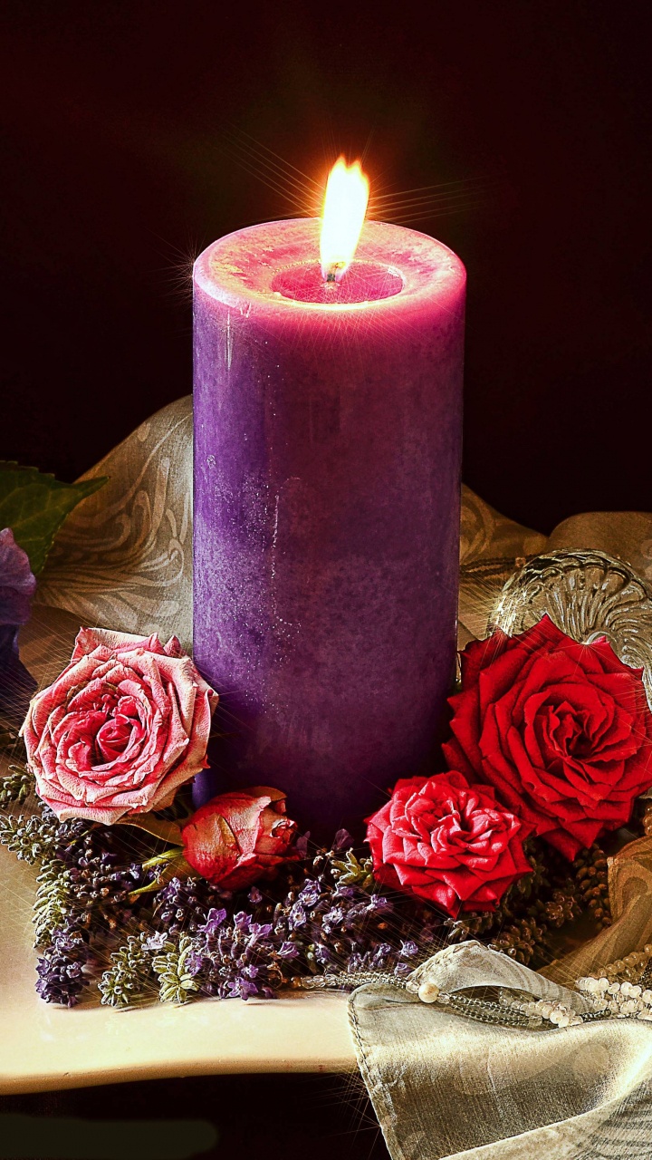 Todavía la Vida, Morado, Cera, Centro de Mesa, Las Rosas de Jardín. Wallpaper in 720x1280 Resolution