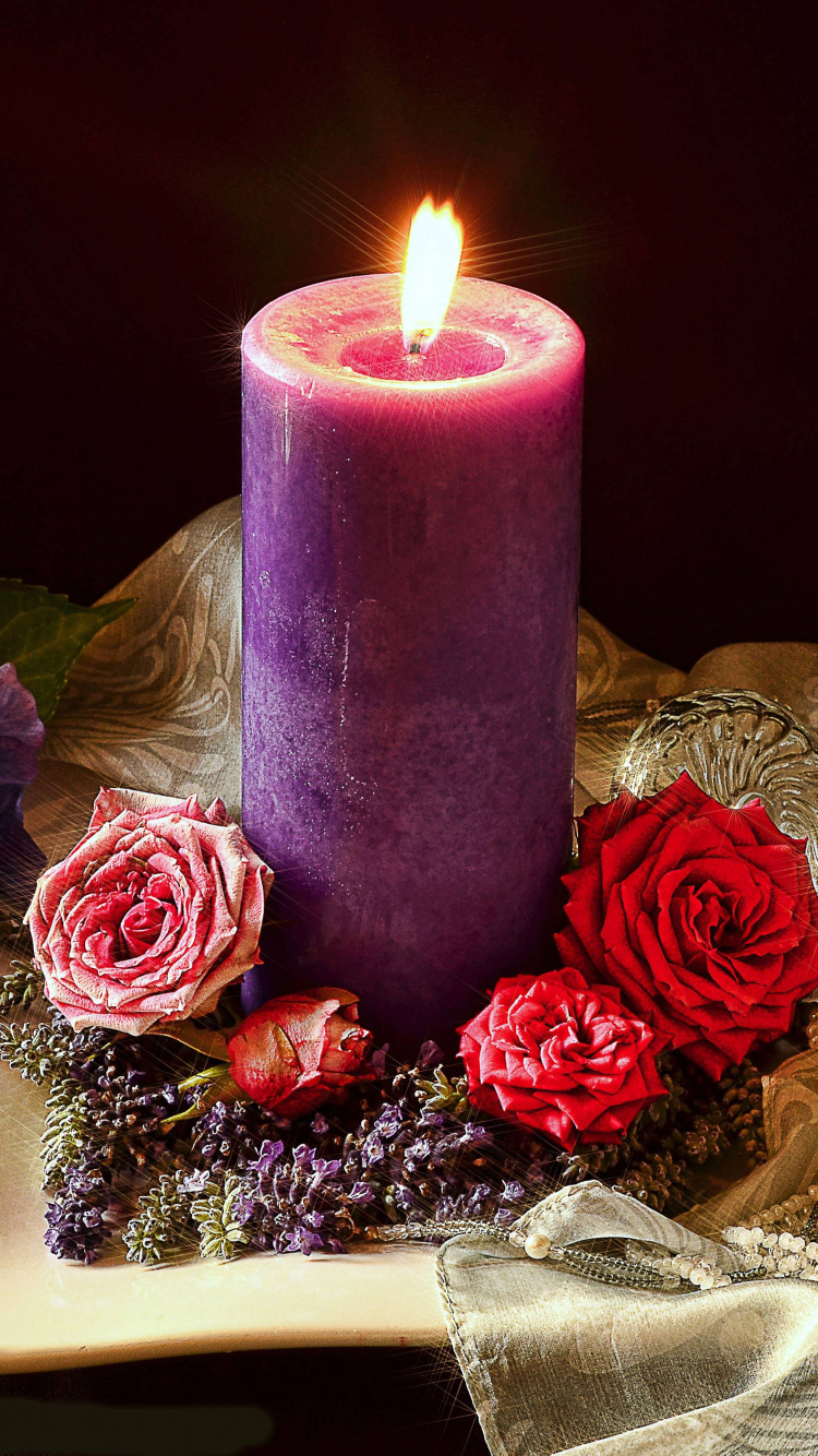 Todavía la Vida, Morado, Cera, Centro de Mesa, Las Rosas de Jardín. Wallpaper in 750x1334 Resolution