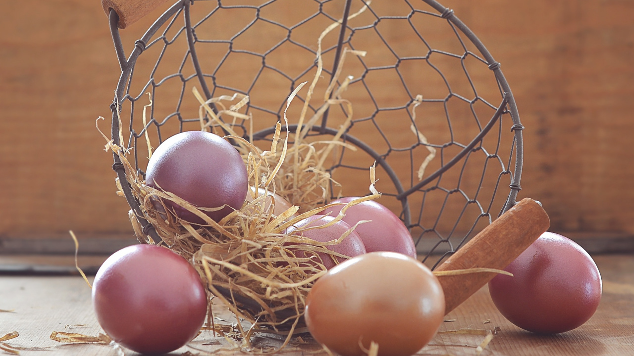 Egg, Nest, Bird Nest, Easter Egg, Basket. Wallpaper in 1280x720 Resolution
