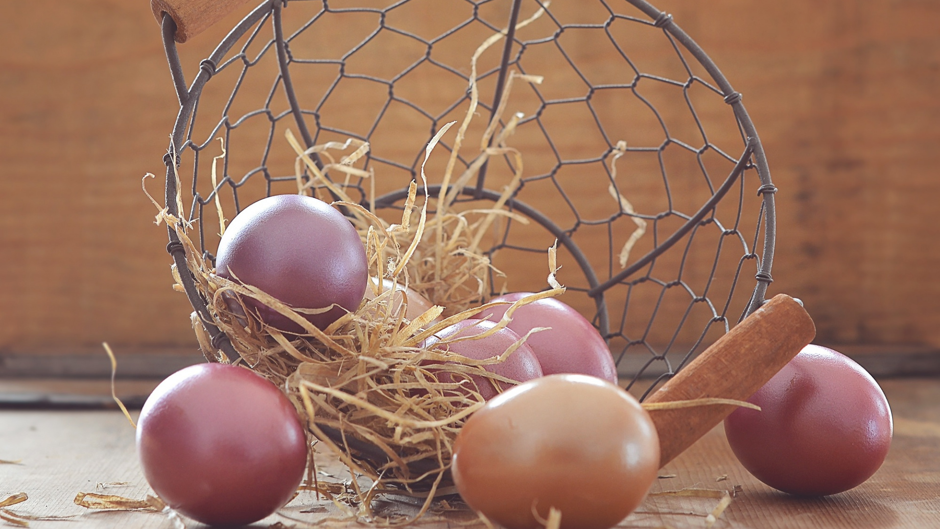 Egg, Nest, Bird Nest, Easter Egg, Basket. Wallpaper in 1920x1080 Resolution