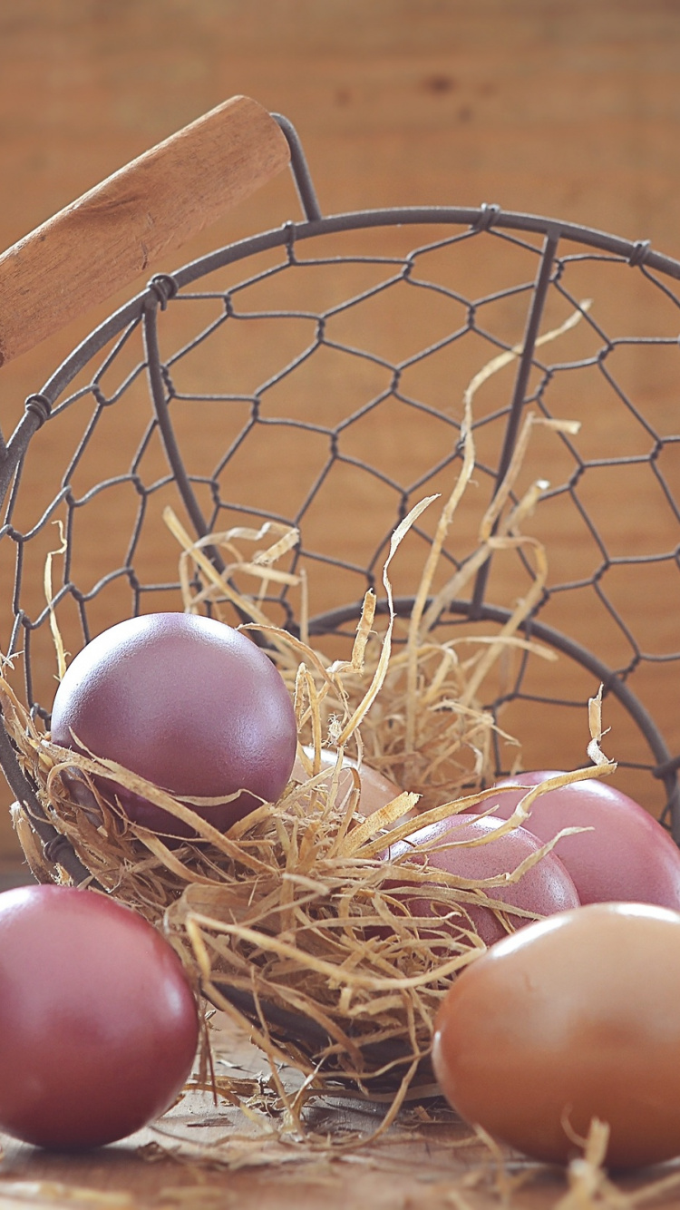 Ei, Nest, Vogel Nest, Osterei, Korb. Wallpaper in 750x1334 Resolution