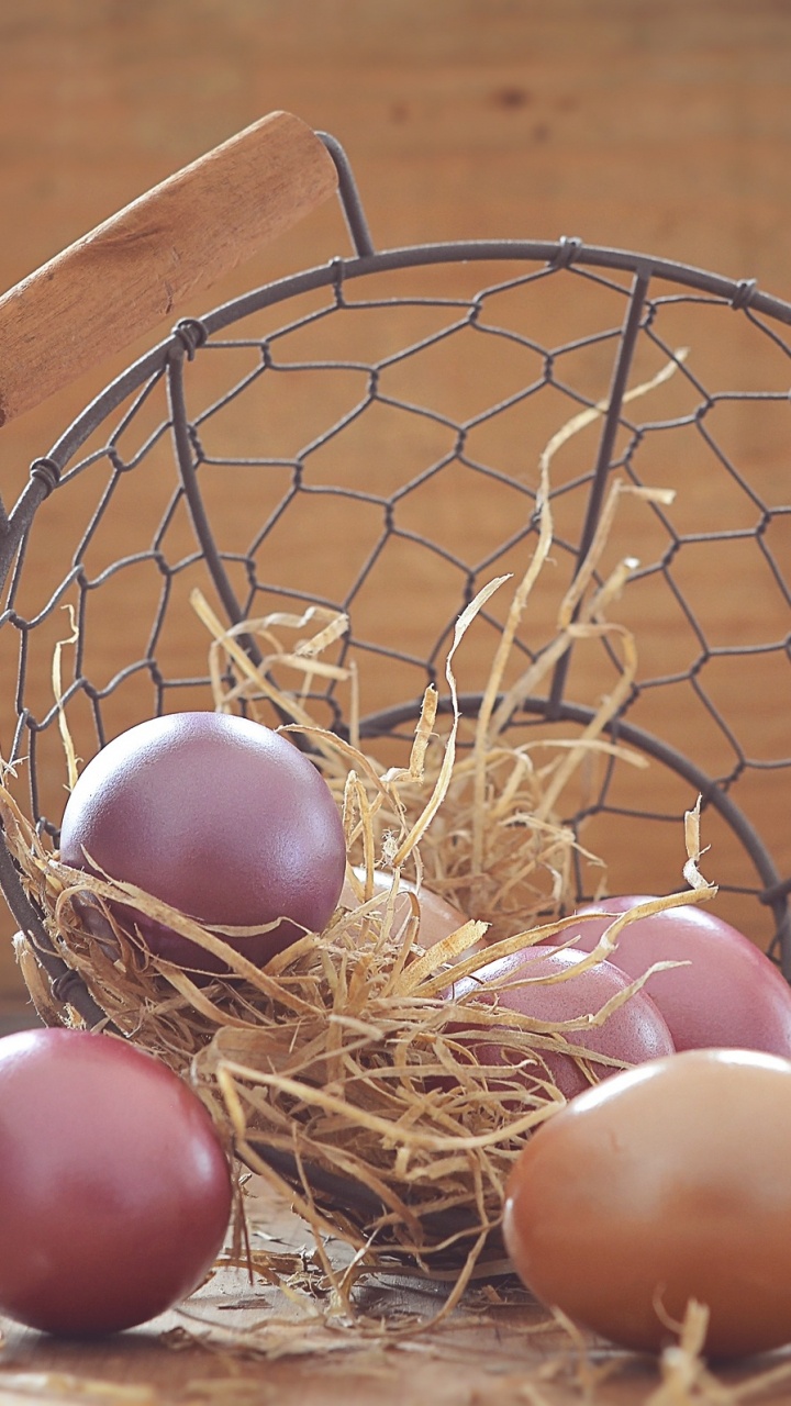 Oeuf, le Nid D'oiseau, Oeuf de Pâques, Panier, Panier de Pâques. Wallpaper in 720x1280 Resolution