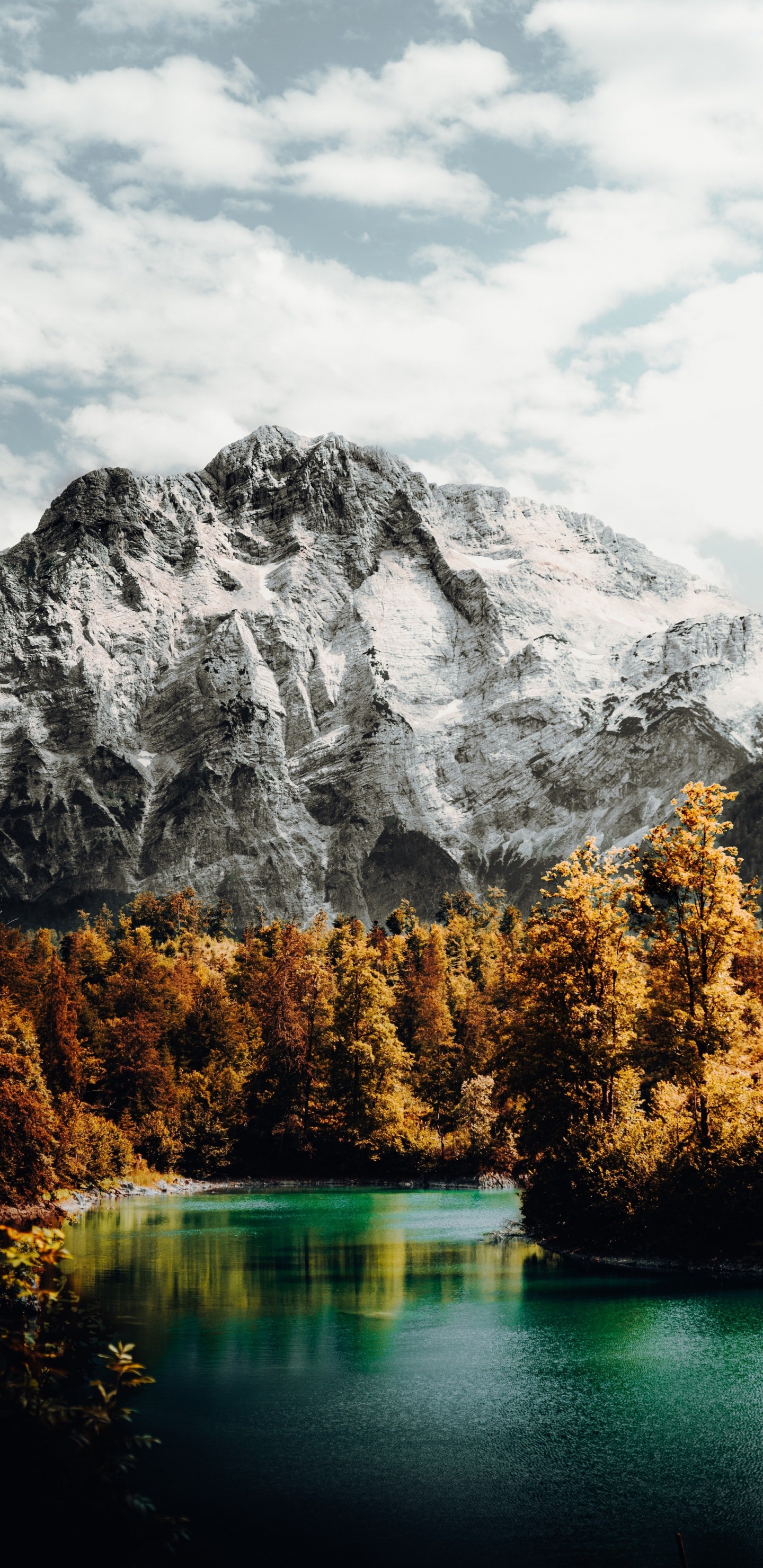 Natur, Wildnis, See, Naturlandschaft, Fluss. Wallpaper in 1440x2960 Resolution