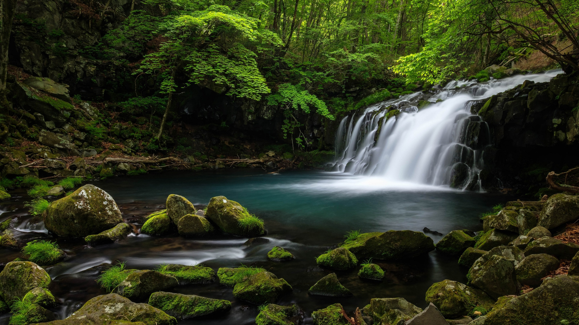 Wasser Fällt Mitten in Den Wald. Wallpaper in 1920x1080 Resolution