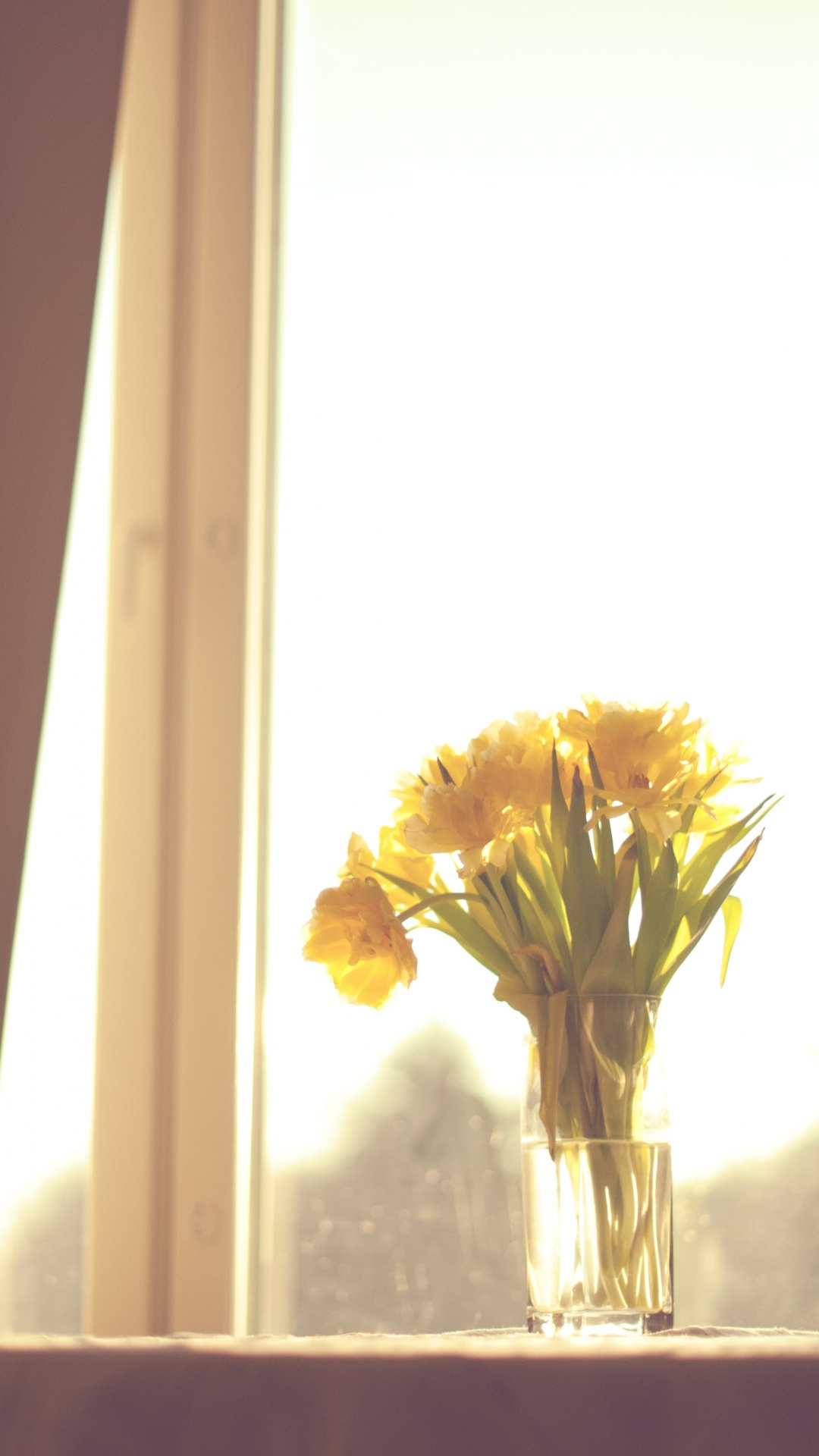 Yellow Flowers in Clear Glass Vase. Wallpaper in 1080x1920 Resolution