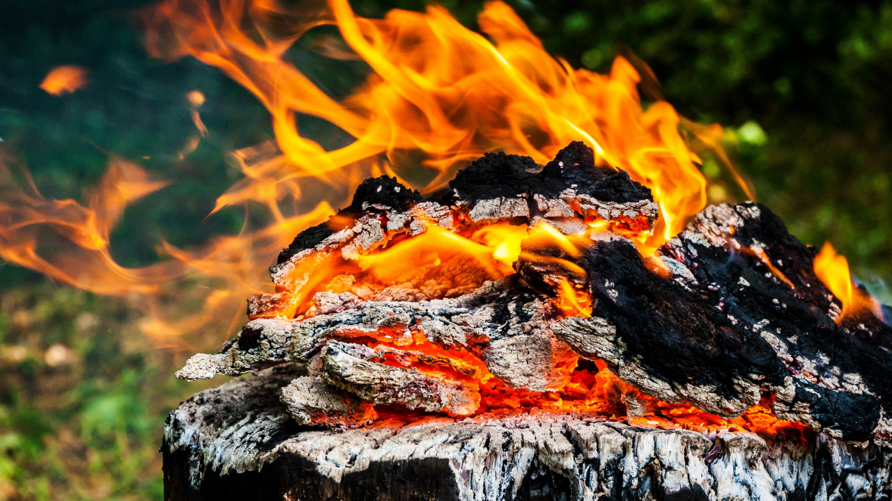 Fire on Gray Rock During Daytime. Wallpaper in 1280x720 Resolution