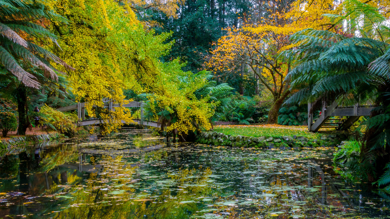 Green and Brown Trees Beside River During Daytime. Wallpaper in 1280x720 Resolution