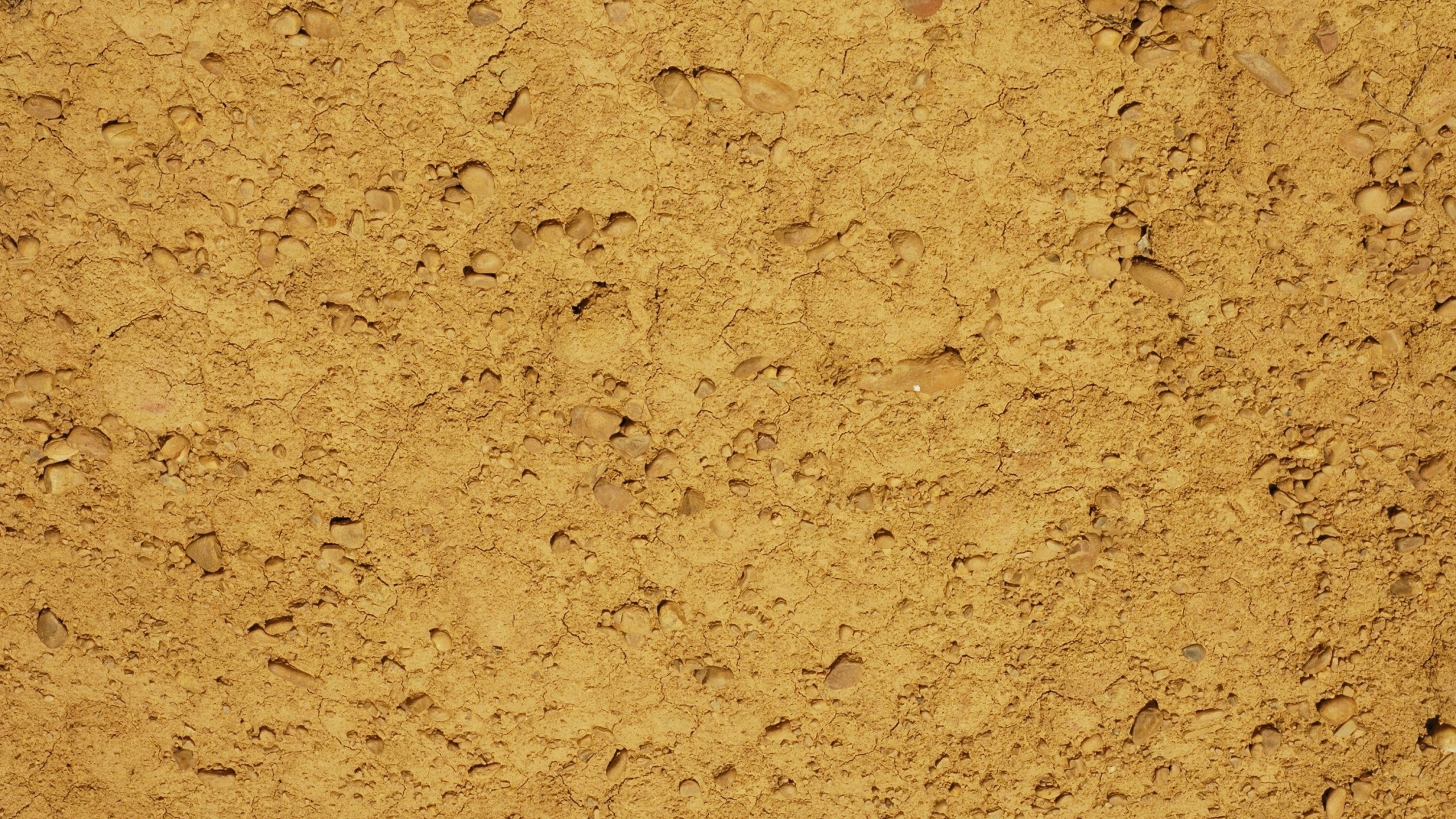 Piso de Concreto Marrón y Negro. Wallpaper in 2560x1440 Resolution