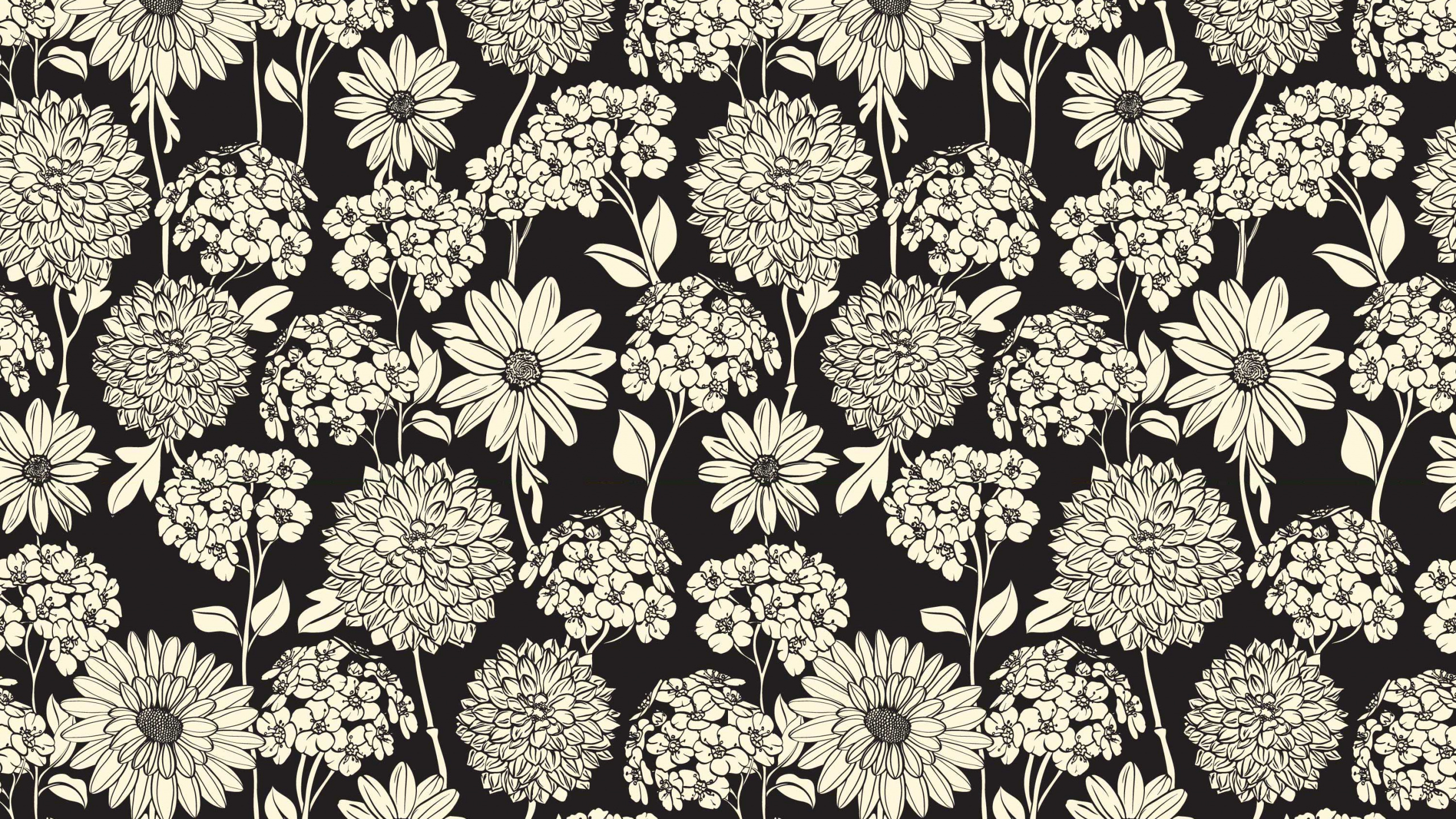 Illustration Florale Jaune et Noire. Wallpaper in 2560x1440 Resolution