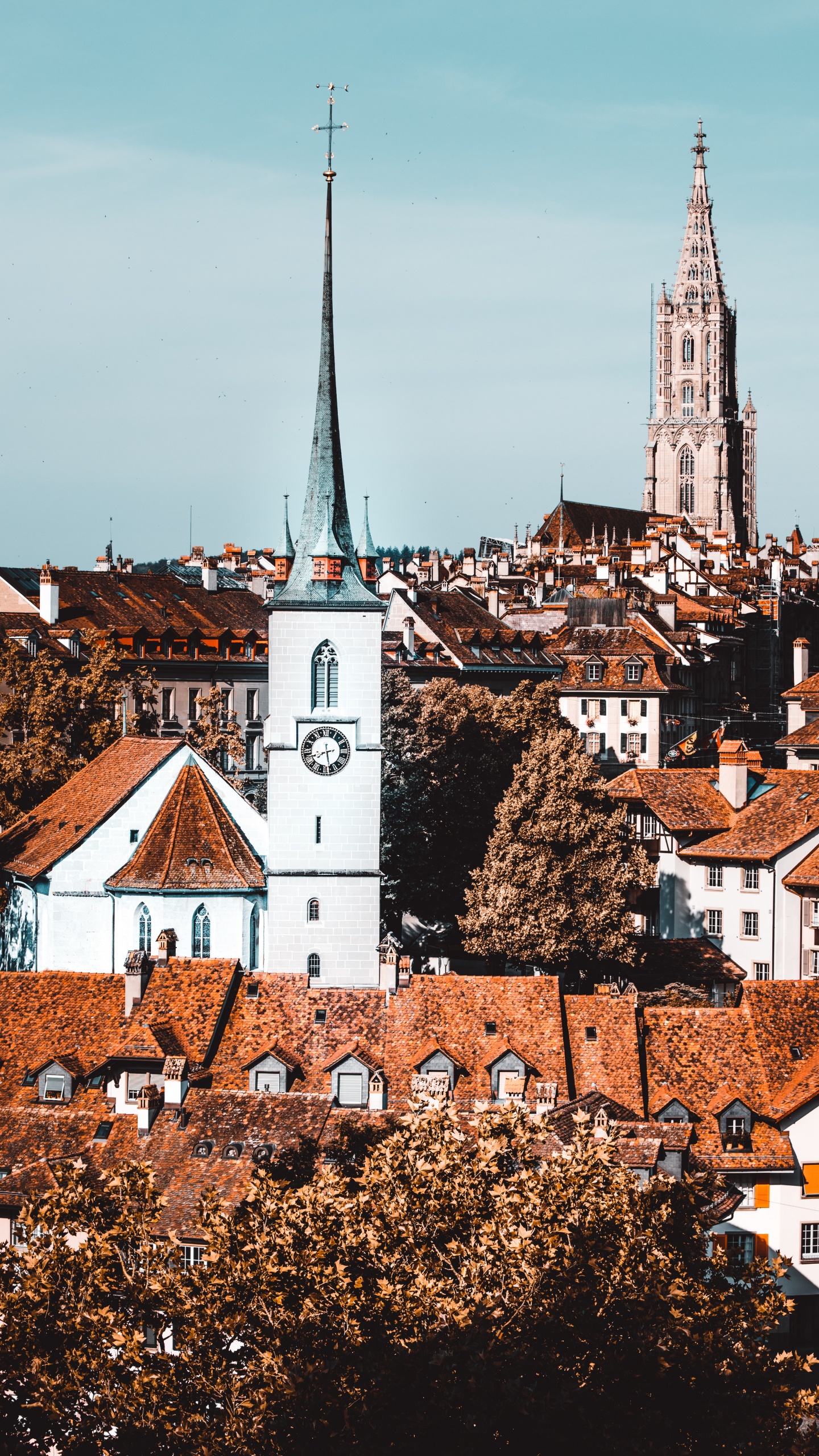 Weißes Und Braunes Betongebäude. Wallpaper in 1440x2560 Resolution