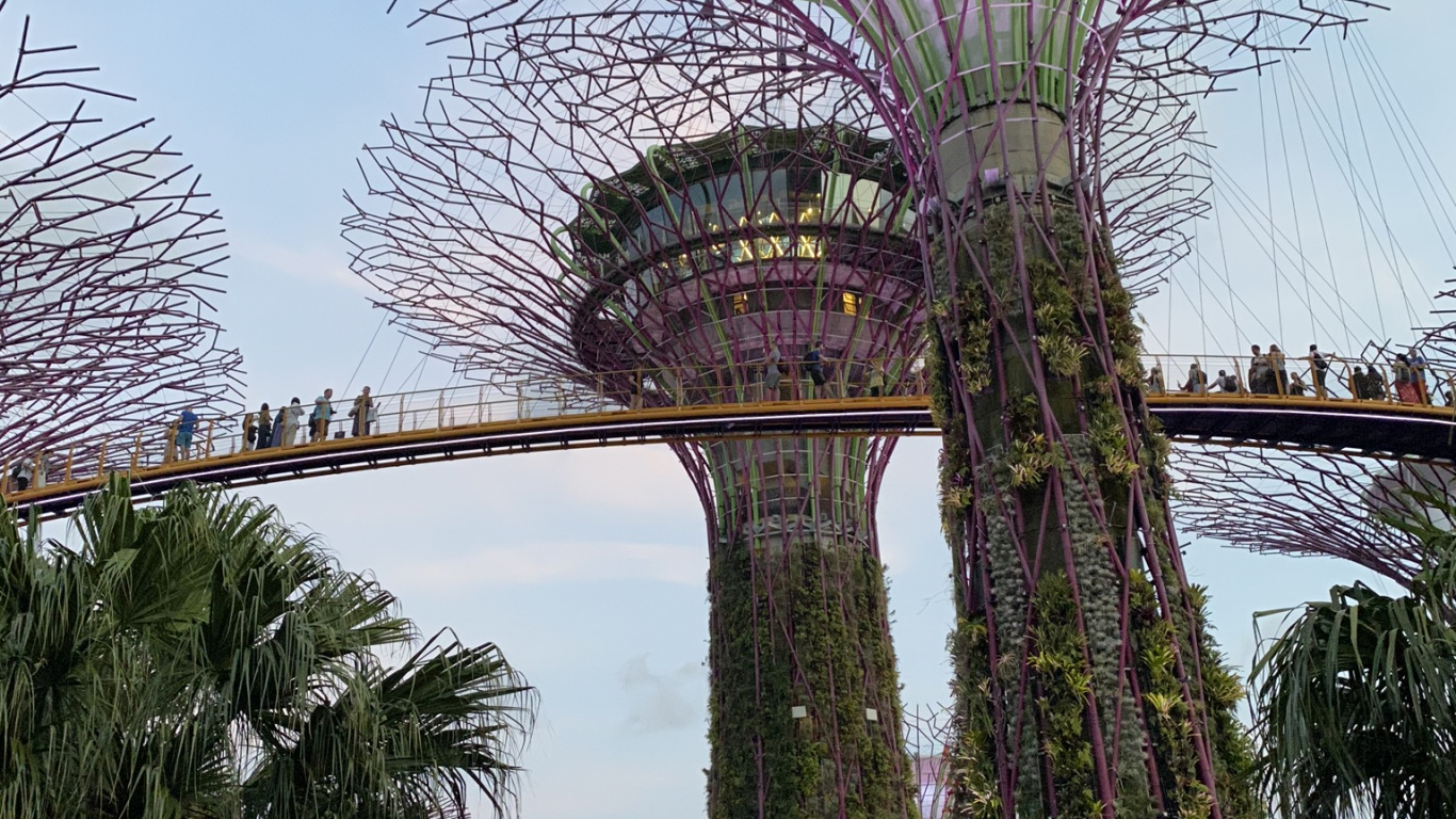 Singapur, Parque de la Ciudad Marina, Palmera, Fecha de la Palma, Hito. Wallpaper in 1366x768 Resolution