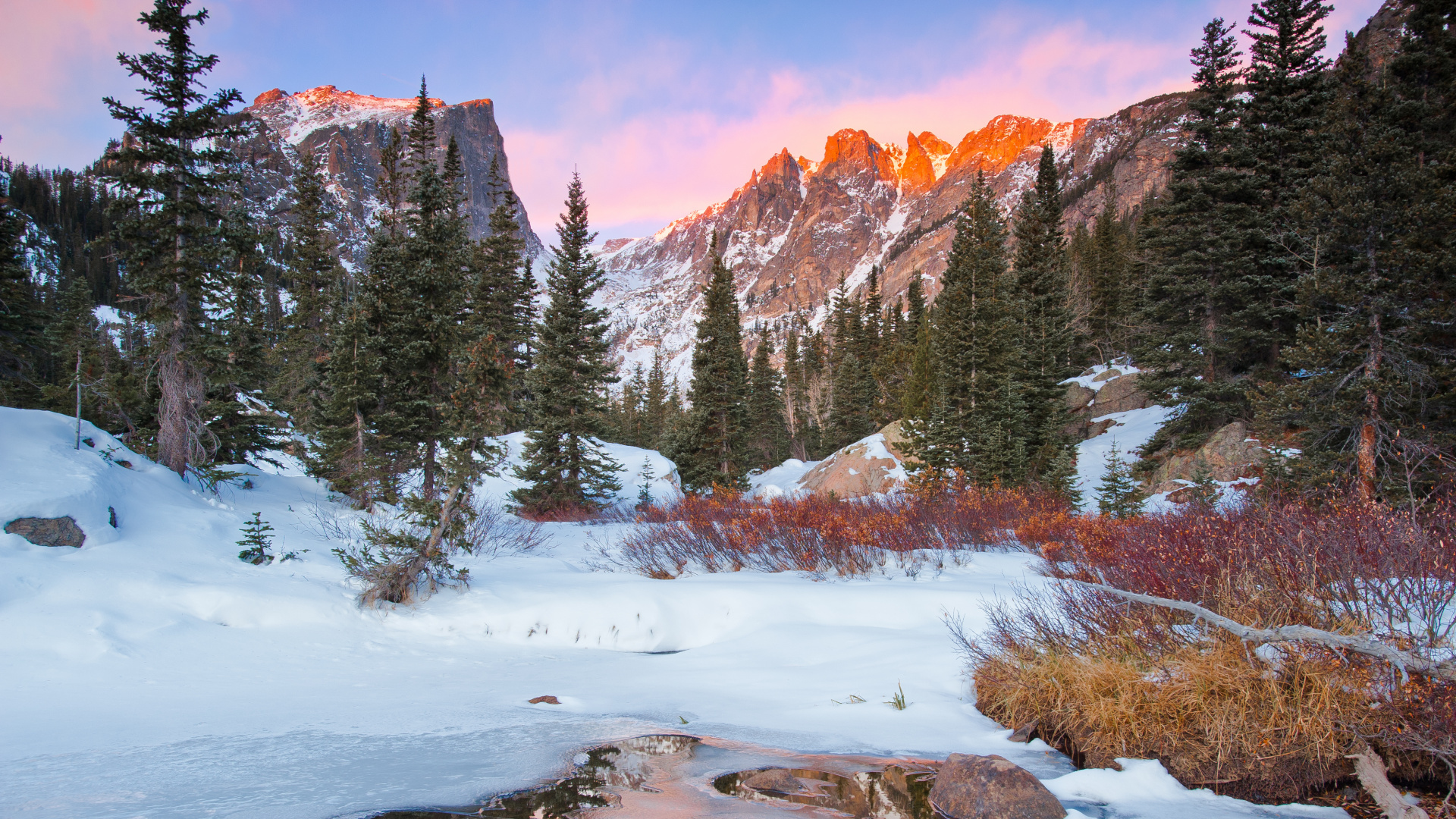 Green Pine Trees on Snow Covered Ground Near Brown Mountain During Daytime. Wallpaper in 1920x1080 Resolution