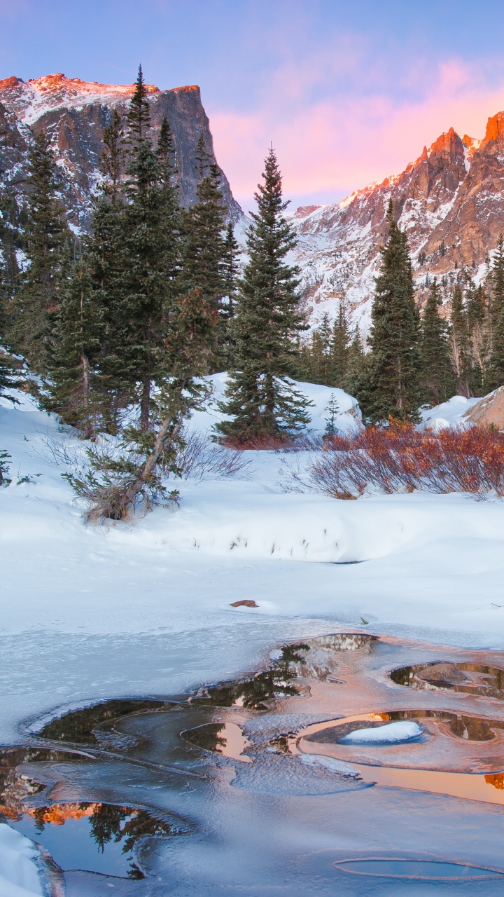 Green Pine Trees on Snow Covered Ground Near Brown Mountain During Daytime. Wallpaper in 720x1280 Resolution