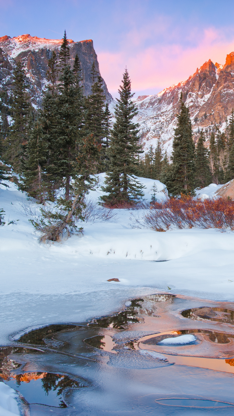 Green Pine Trees on Snow Covered Ground Near Brown Mountain During Daytime. Wallpaper in 750x1334 Resolution