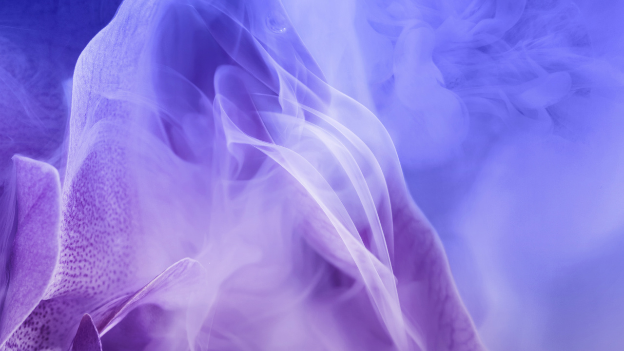 Huawei, Huawei Nova, Huawei Nova 3, Nouveau 3, Smartphone. Wallpaper in 1280x720 Resolution