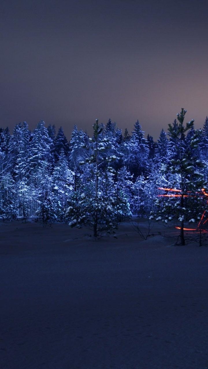 Pins Couverts de Neige Pendant la Nuit. Wallpaper in 720x1280 Resolution