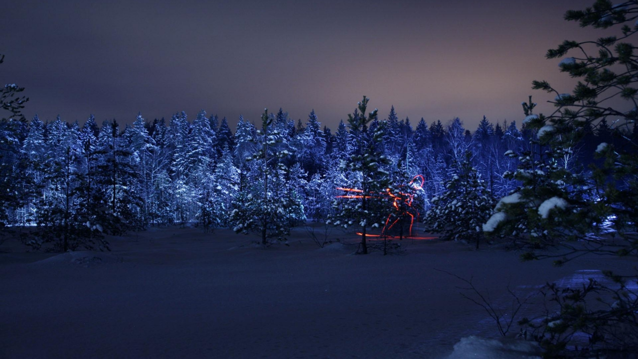 Pinos Cubiertos de Nieve Durante la Noche. Wallpaper in 1280x720 Resolution