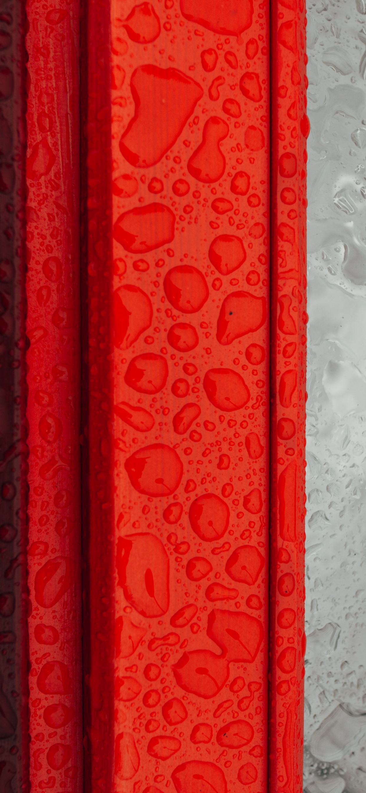 Textile Floral Rouge et Blanc. Wallpaper in 1242x2688 Resolution