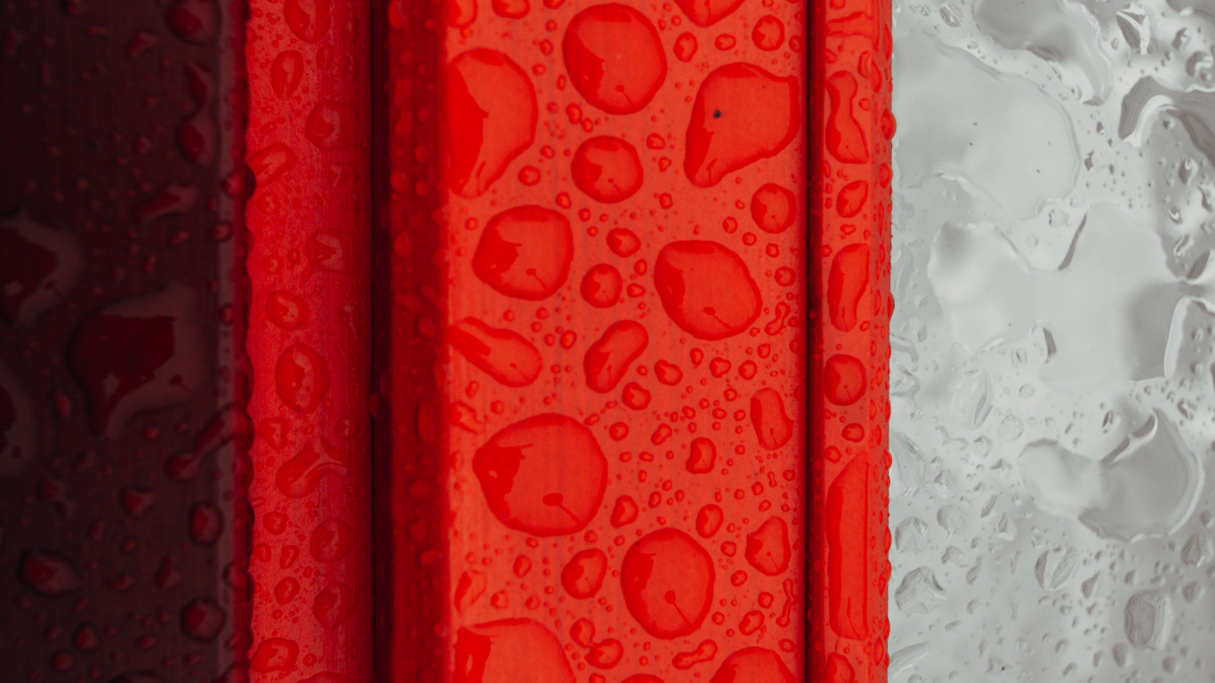 Textil Floral Rojo y Blanco. Wallpaper in 1366x768 Resolution