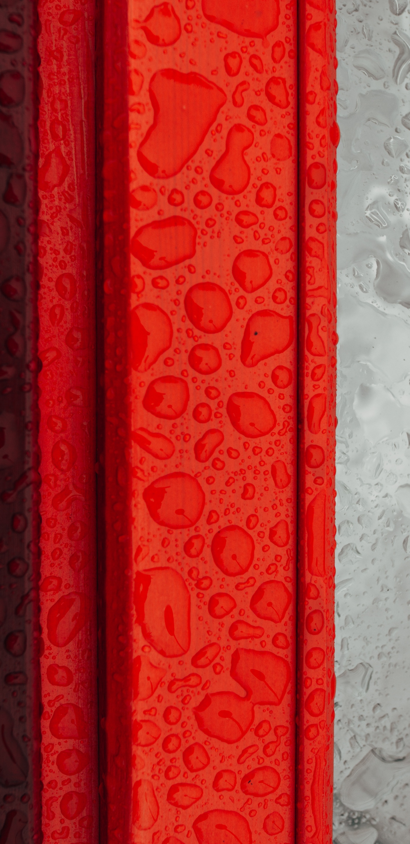 Textil Floral Rojo y Blanco. Wallpaper in 1440x2960 Resolution