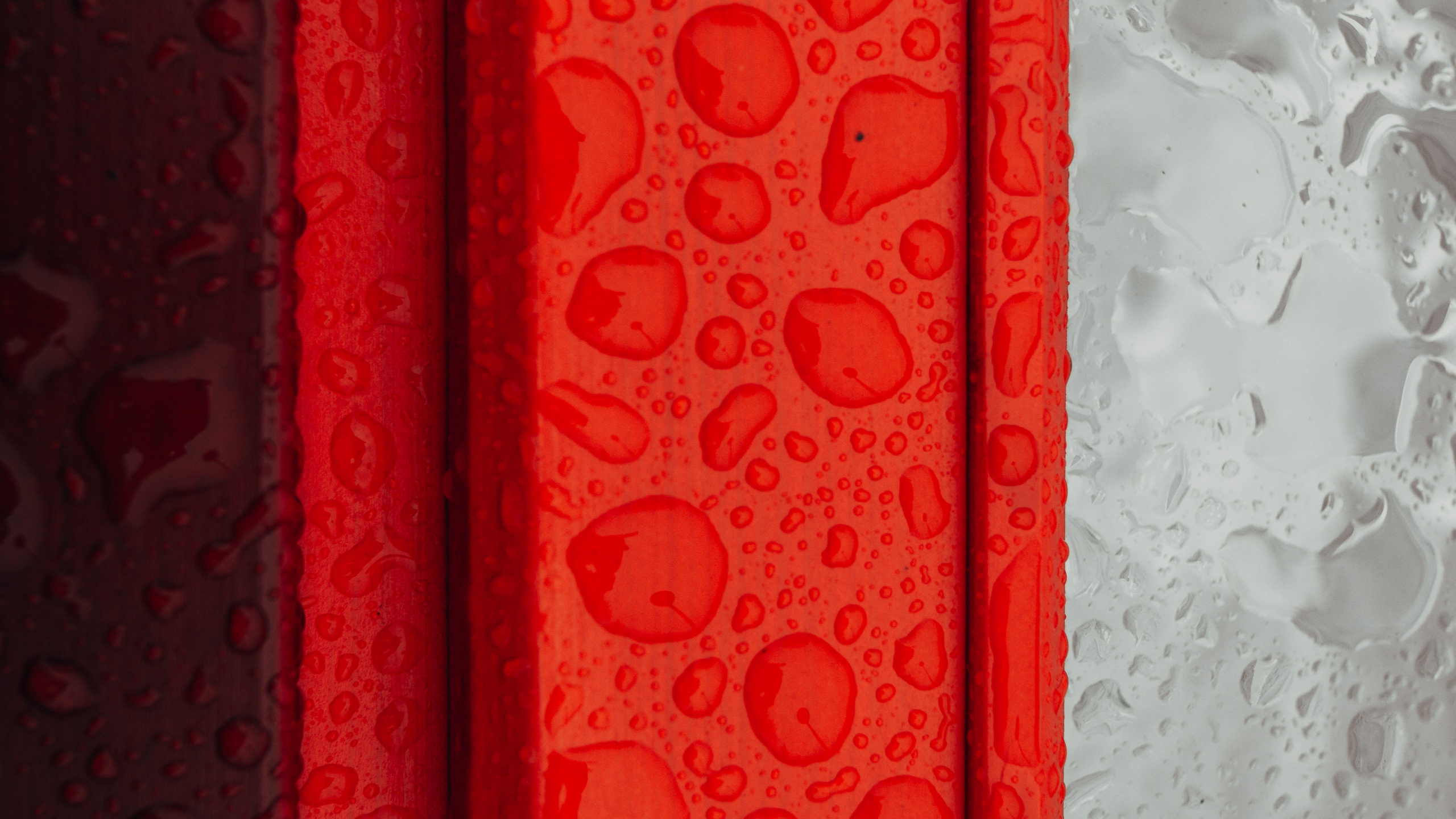 Red and White Floral Textile. Wallpaper in 2560x1440 Resolution