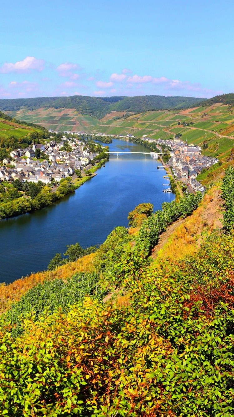 Edificio de Hormigón Blanco en el Campo de Hierba Verde Cerca Del Cuerpo de Agua Durante el Día. Wallpaper in 750x1334 Resolution