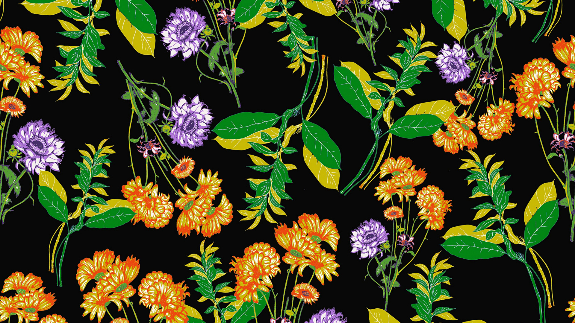 Fleurs Jaunes et Violettes en Fleurs. Wallpaper in 1920x1080 Resolution