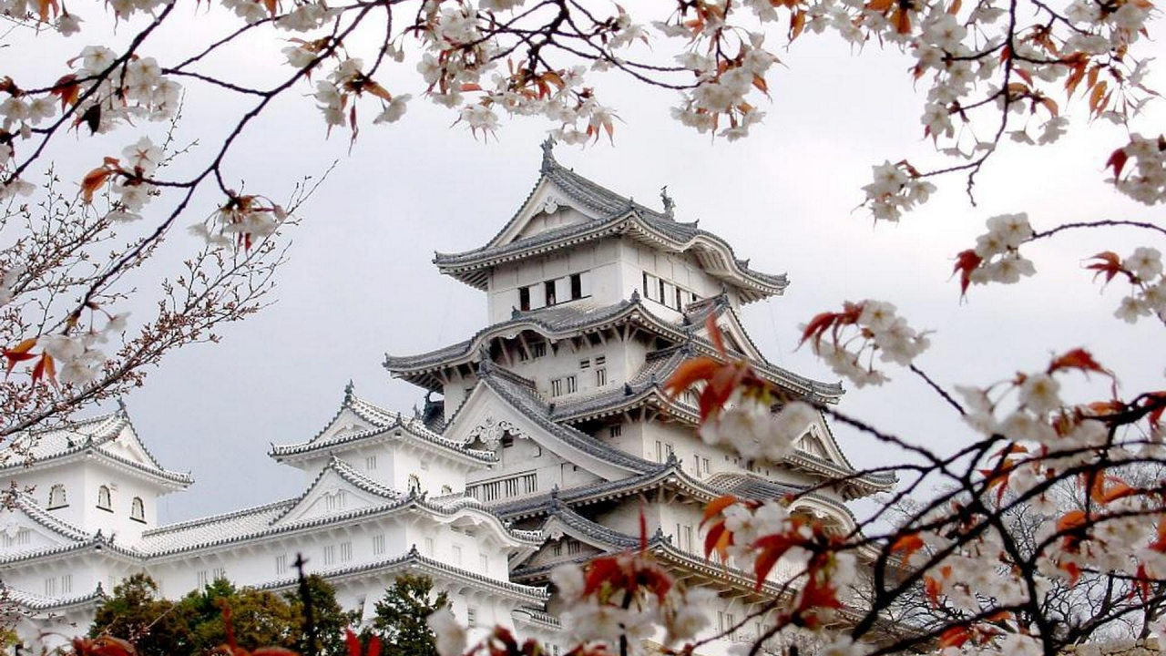 日本艺术, 日本建筑, 开花, 樱花, 工厂 壁纸 1280x720 允许