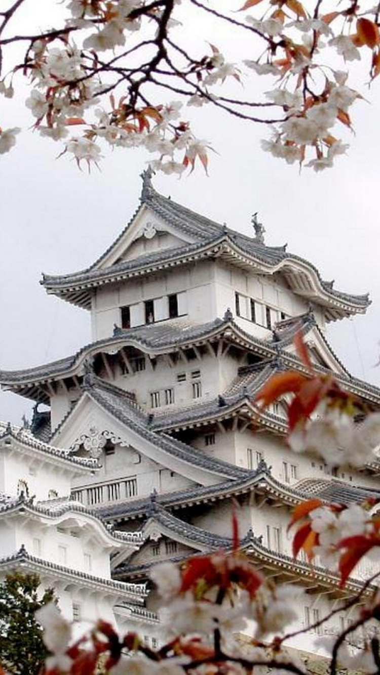 日本艺术, 日本建筑, 开花, 樱花, 工厂 壁纸 750x1334 允许