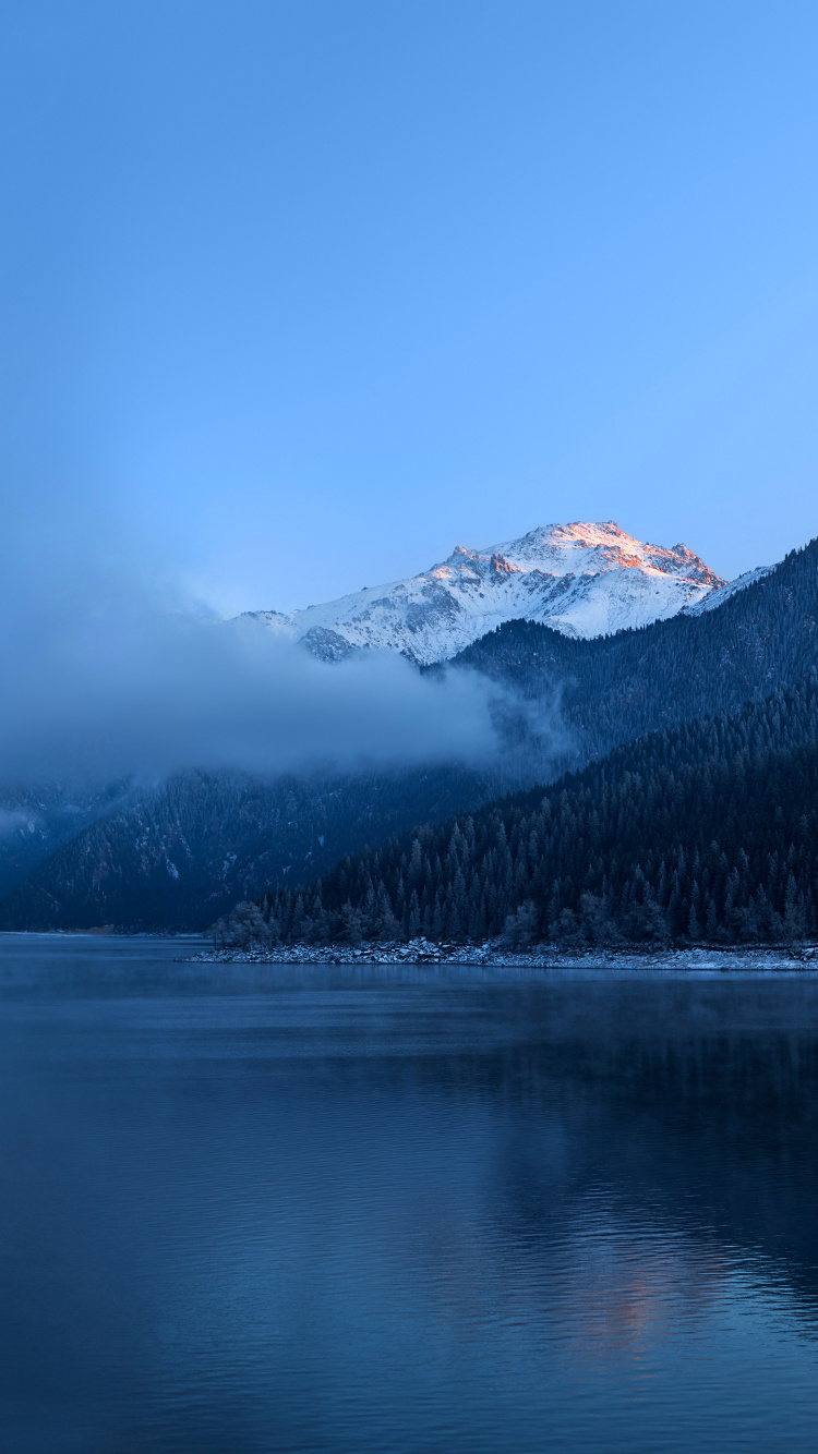 Huawei, Huawei Mate, Huawei Mate 40 Pro, Huawei Mate 30, Huawei Compagnon 40. Wallpaper in 750x1334 Resolution