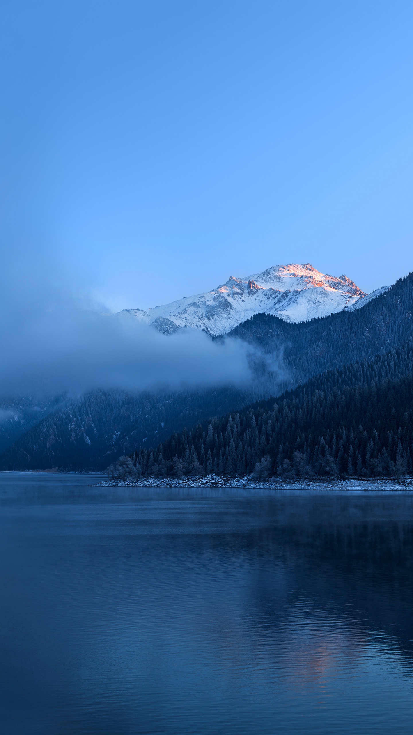 Huawei, Huawei Mate, Huawei Mate 40 Pro, Huawei Mate 30, Huawei Mate 40. Wallpaper in 1440x2560 Resolution