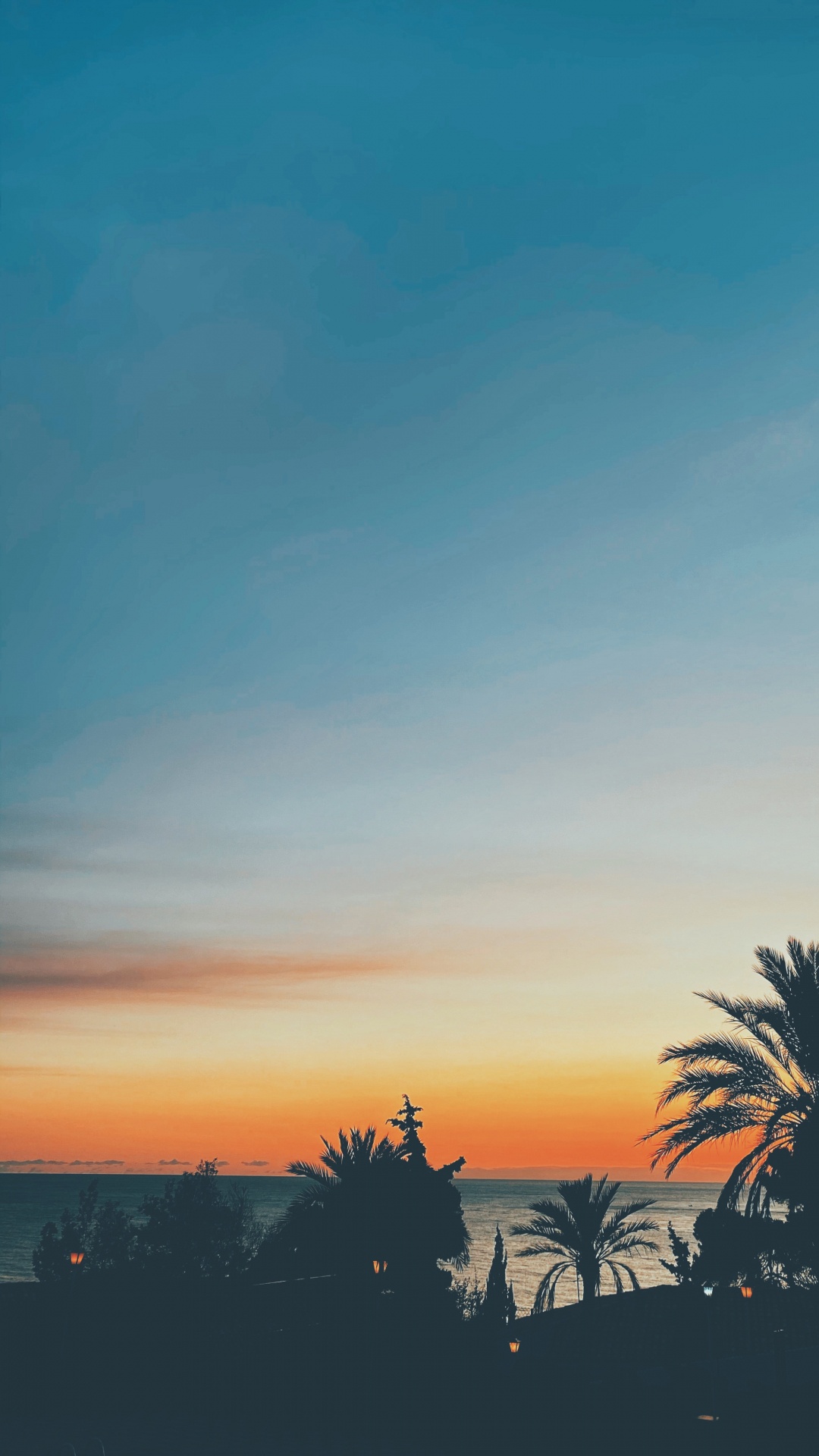 Blatt, Horizont, Orange, Bernstein, Sonnenuntergang. Wallpaper in 1080x1920 Resolution