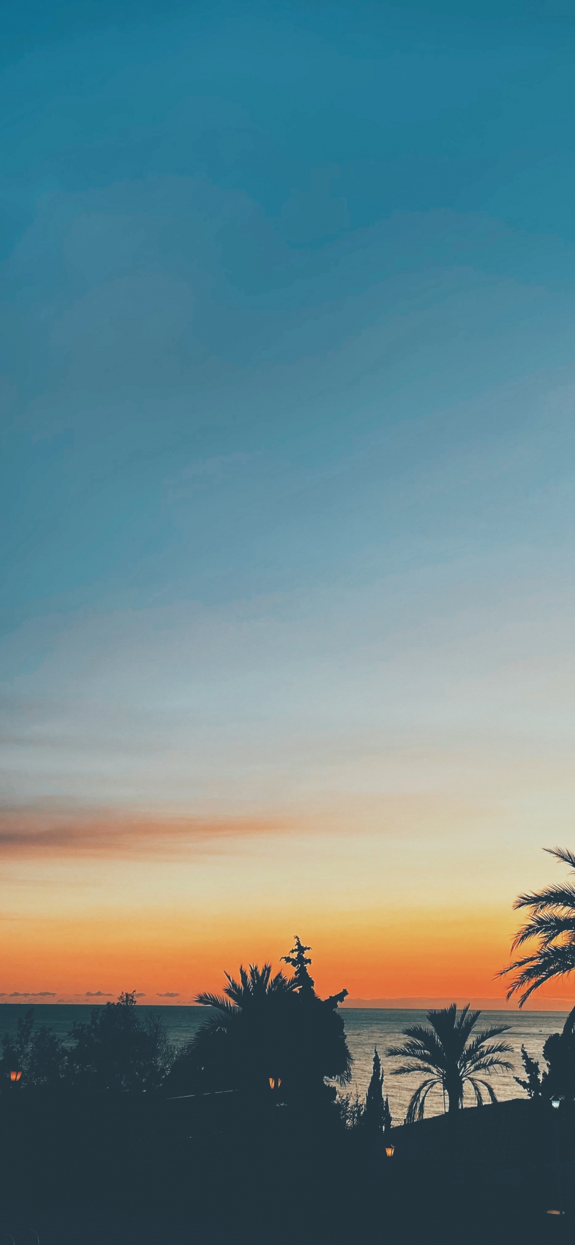 Blatt, Horizont, Orange, Bernstein, Sonnenuntergang. Wallpaper in 1125x2436 Resolution