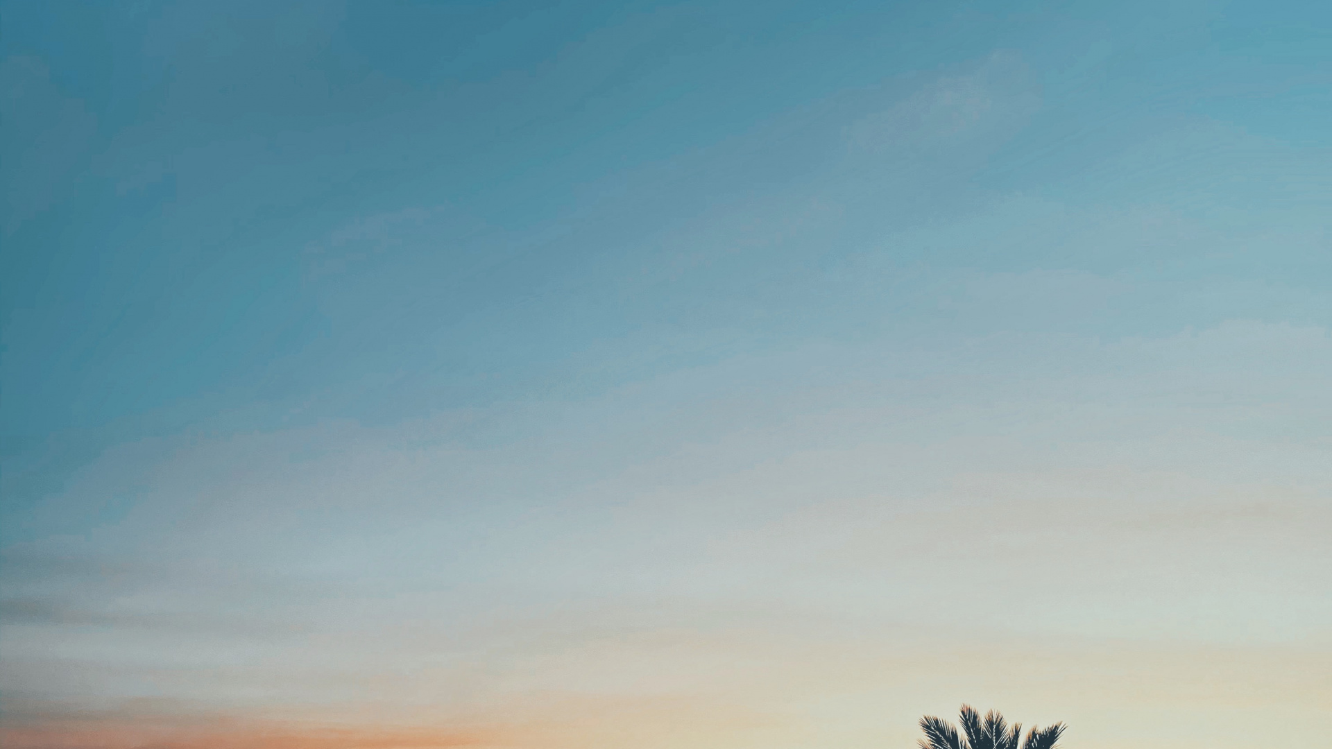 Blatt, Horizont, Orange, Bernstein, Sonnenuntergang. Wallpaper in 1920x1080 Resolution