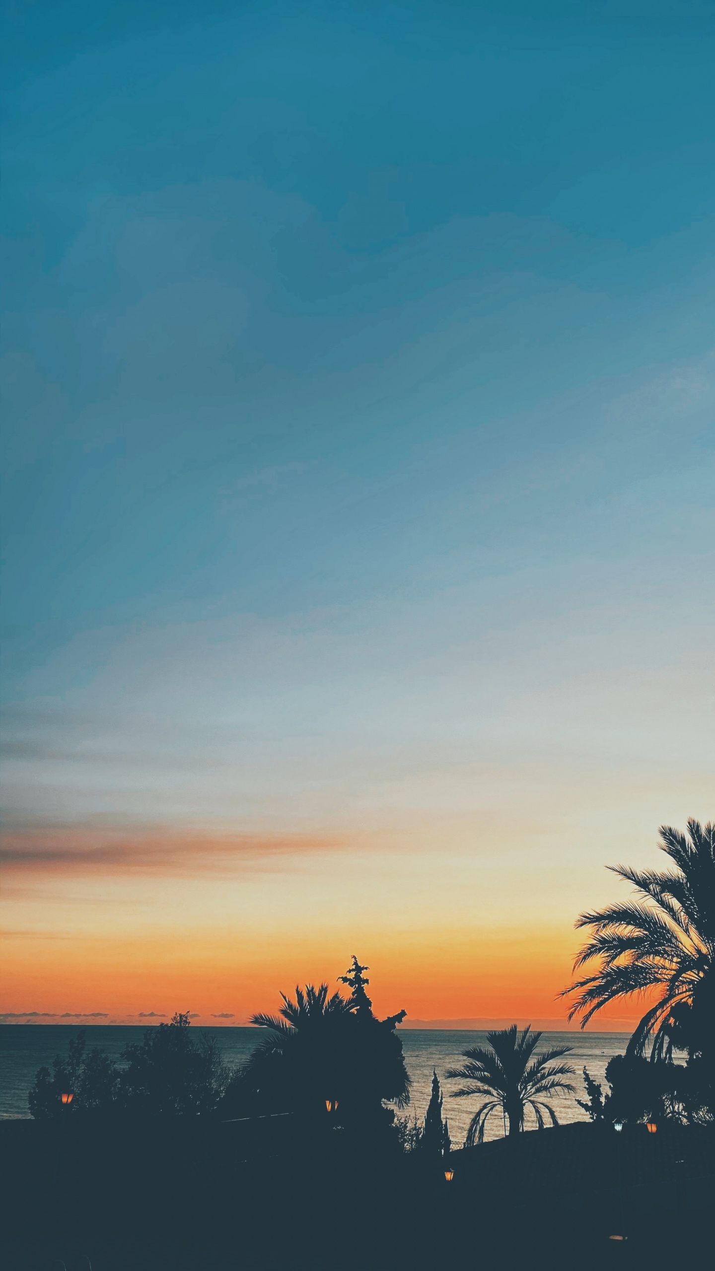 Feuille, Horizon, Orange, Ambre, Plantes Ligneuses. Wallpaper in 1440x2560 Resolution